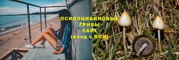 каннабис Белокуриха