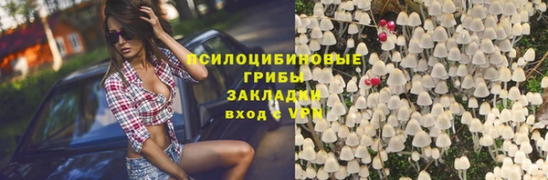 каннабис Белокуриха