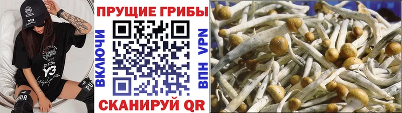 Псилоцибиновые грибы Magic Shrooms Мариинский Посад